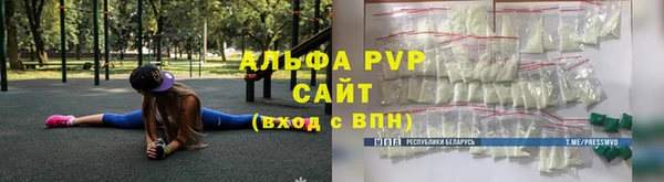хмурый Инсар