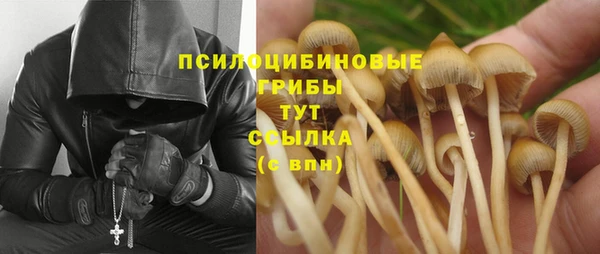 мяу мяу кристалл Инта