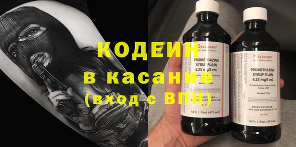 хмурый Инсар