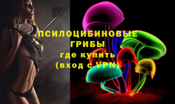 хмурый Инсар