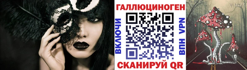Купить где  Звенигород  Псилоцибиновые грибы Psilocybe 